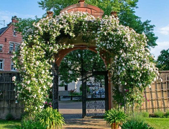 Rosenbogen mit Tür - aus Eisen