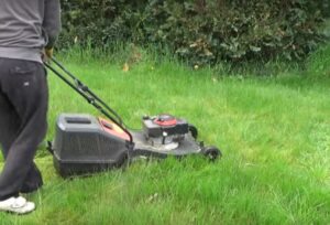 Sehr langen Rasen mähen – So schafft es der Rasenmäher trotzdem