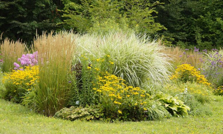 Stauden kombinieren - Pflanzenbeete planen und bepflanzen