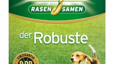 Substral der Robuste - Test der Rasensaat