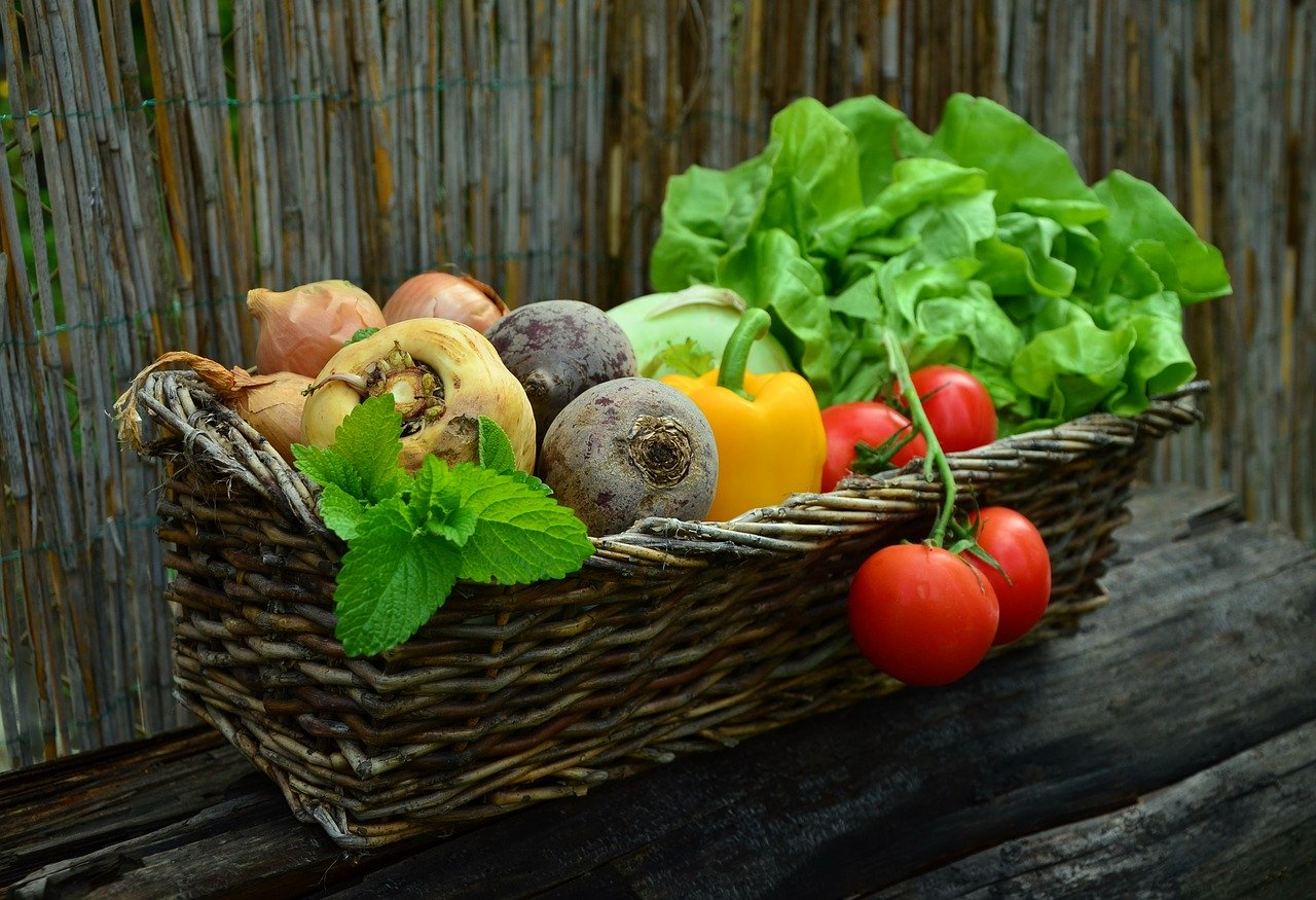 Turbo Gemüsebeet: 16 Gemüsesorten die du schnell ernten kannst