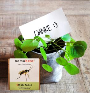 nemabest® SF Nematoden Ratgeber