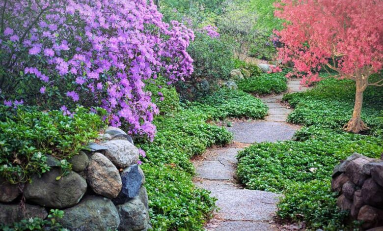 Gartenarbeiten im Mai