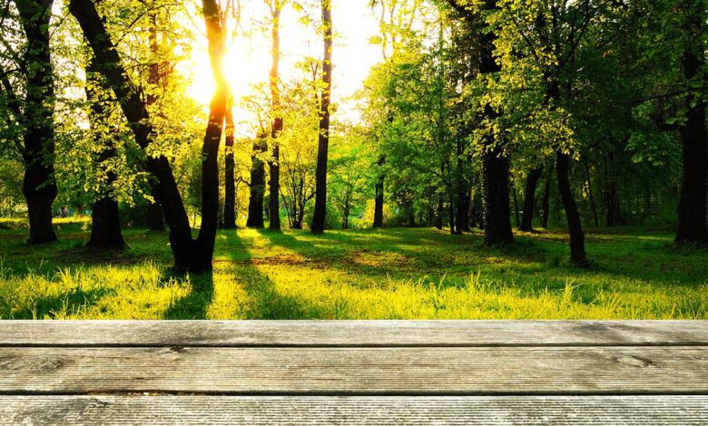 So wird die Terrasse sommerfit - Tipp's und Tricks