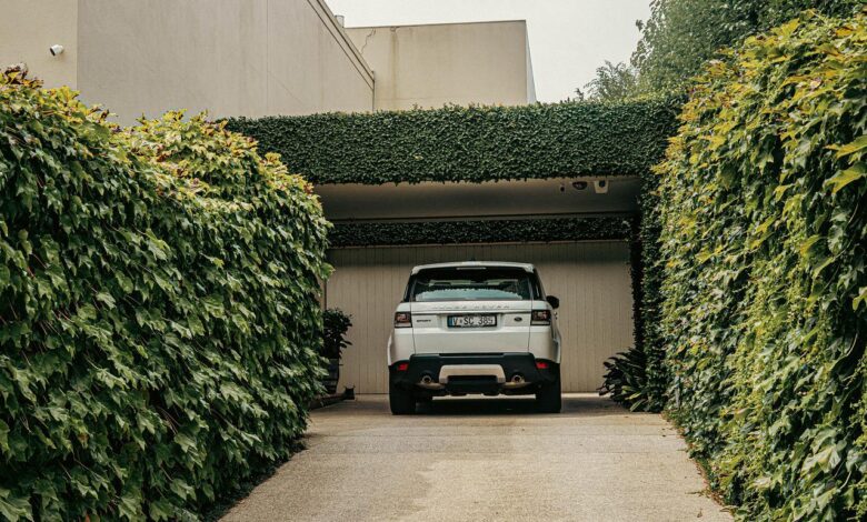 In 5 einfachen Schritten zur eigenen Hecke