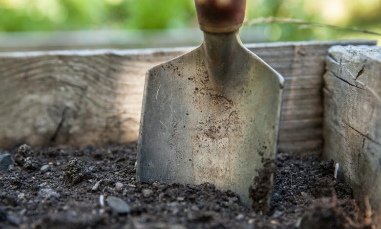 Gartenumgestaltung für den Frühling schon jetzt planen