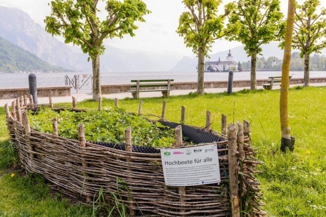Hochbeet aus Weide und Ästen selber bauen [Bildinhalt mit KI erstellt]