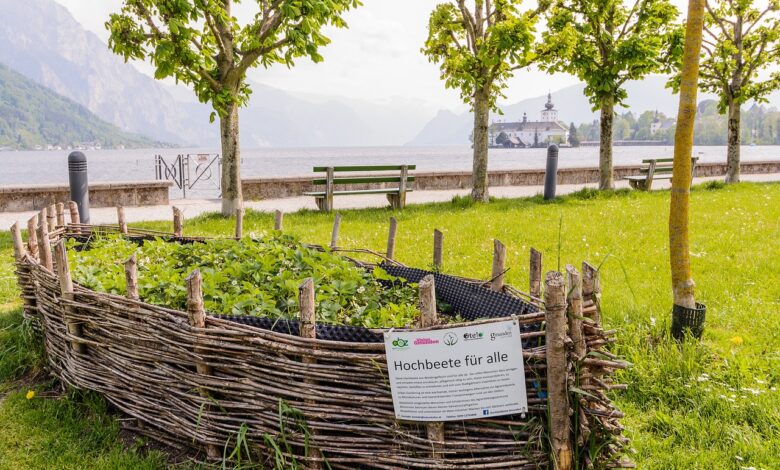 Hochbeet aus Weide und Ästen selber bauen