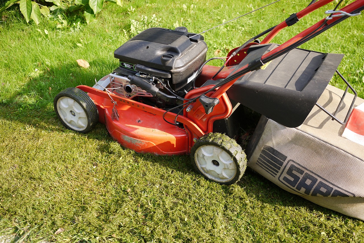 Laub mit dem Rasenmäher entfernen – Vorteile und Nachteile
