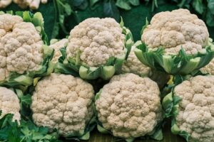 Blumenkohl anbauen