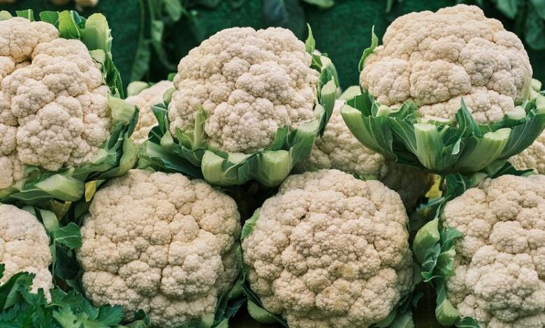 Blumenkohl anbauen
