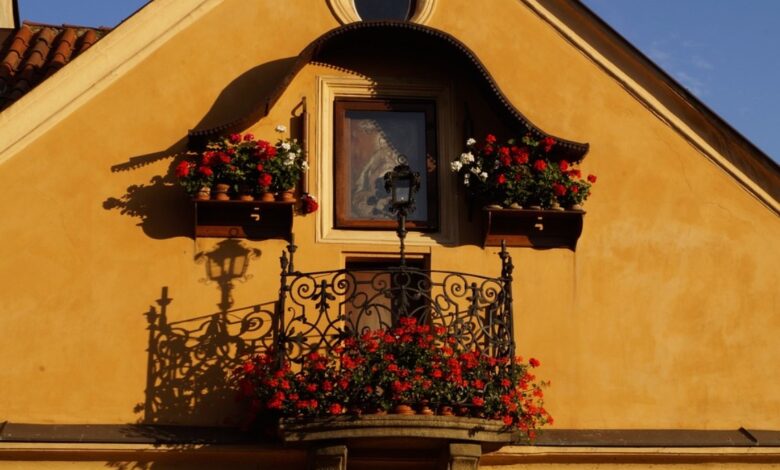 Balkon Gemüse Ideen zum Nachmachen