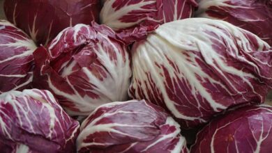 Radicchio