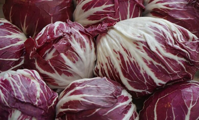 Radicchio