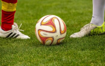 Einen Sportrasen anlegen - so geht's richtig!