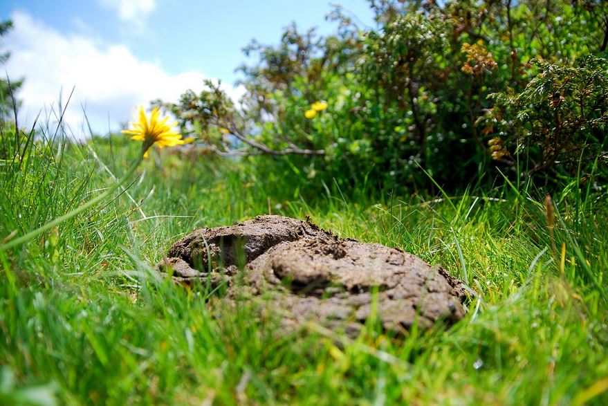 Garten düngen