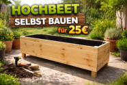 Hochbeet selber bauen für 25€