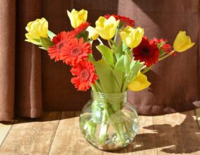 Blumenstrauß mit Schnittblumen haltbar machen