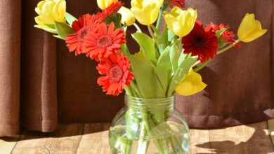 Blumenstrauß mit Schnittblumen haltbar machen