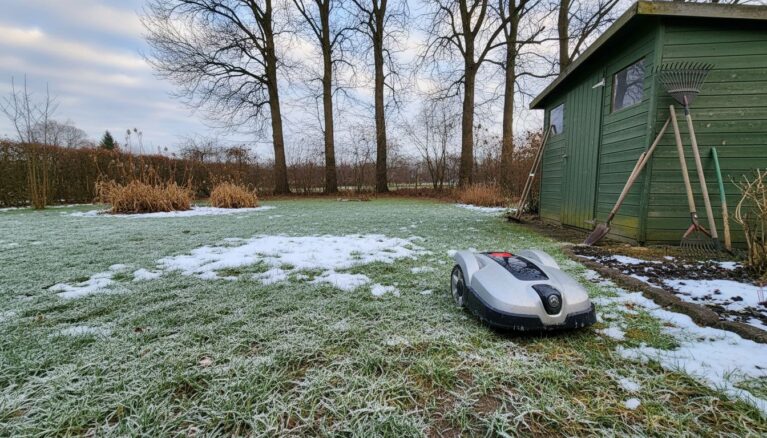 Rasen mähen im Februar
