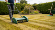 Wiese vertikutieren - Zeitpunkt, Anleitung und mögliche Risiken