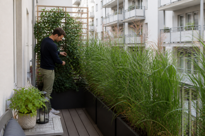 balkon sichtschutz pflanzen editorial 1 [Bildinhalt mit KI erstellt]
