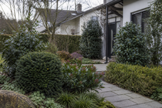 Verschiedene immergrüne Sträucher strukturieren einen Garten im Spätwinter [Bildinhalt mit KI erstellt]