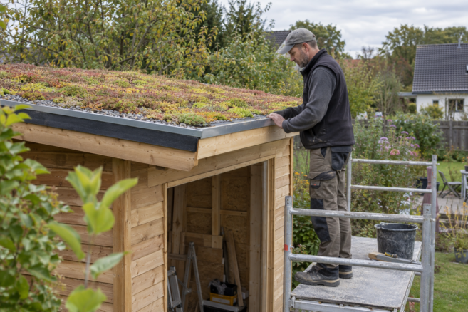 gartenhaus diy dachbegrünung editorial