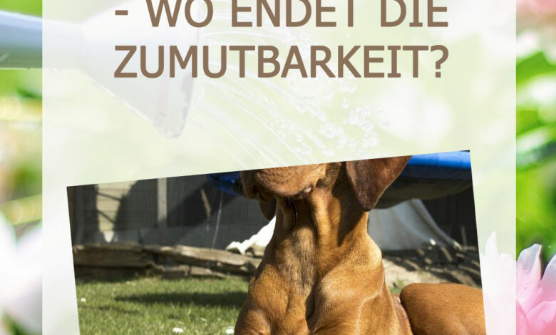 Ruhestörung durch Hundegebell - Wo endet die Zumutbarkeit?