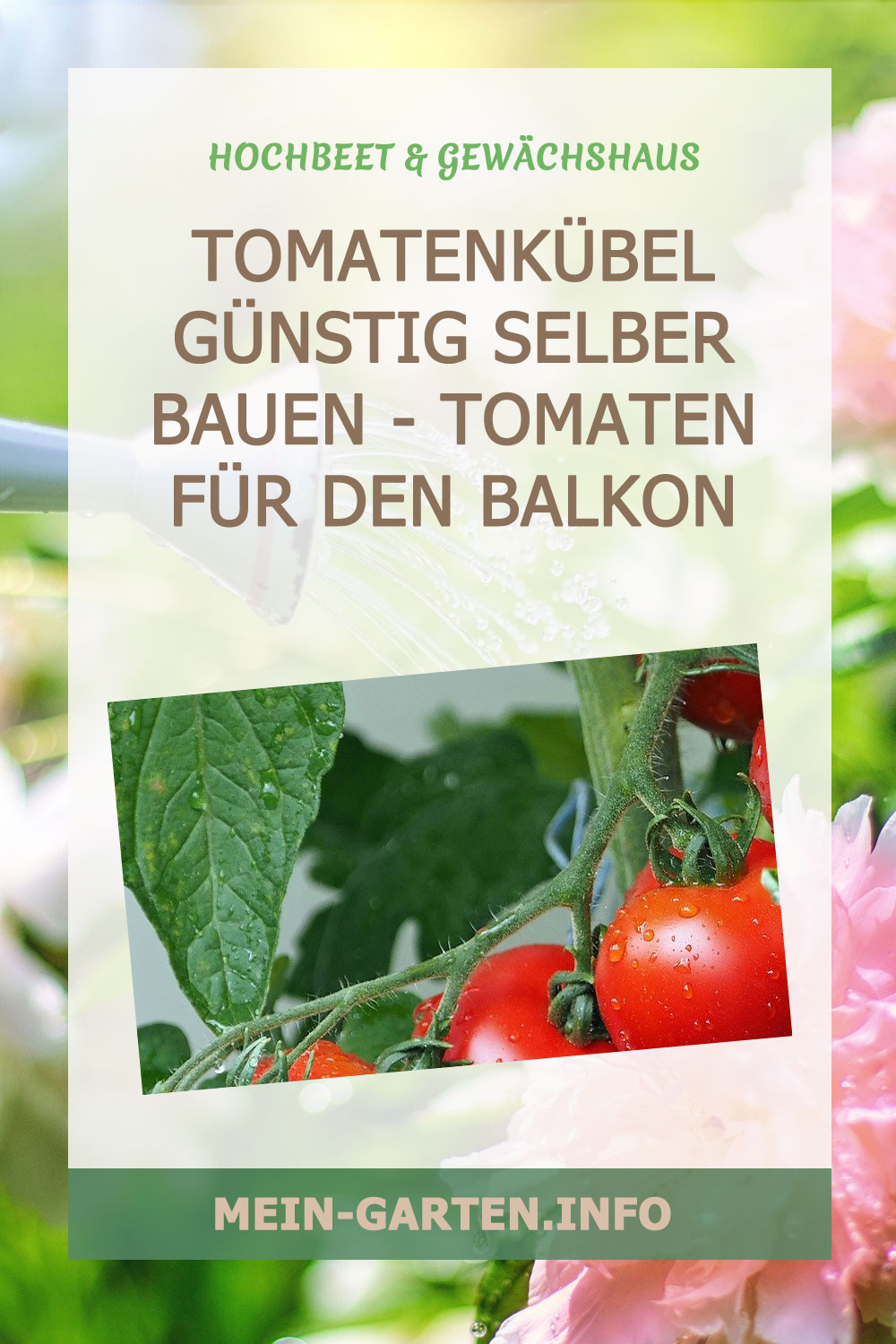 Tomatenkübel günstig selber bauen – Tomaten für den Balkon