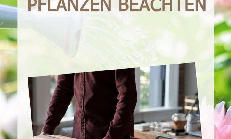 Was muss man versenden von Pflanzen beachten